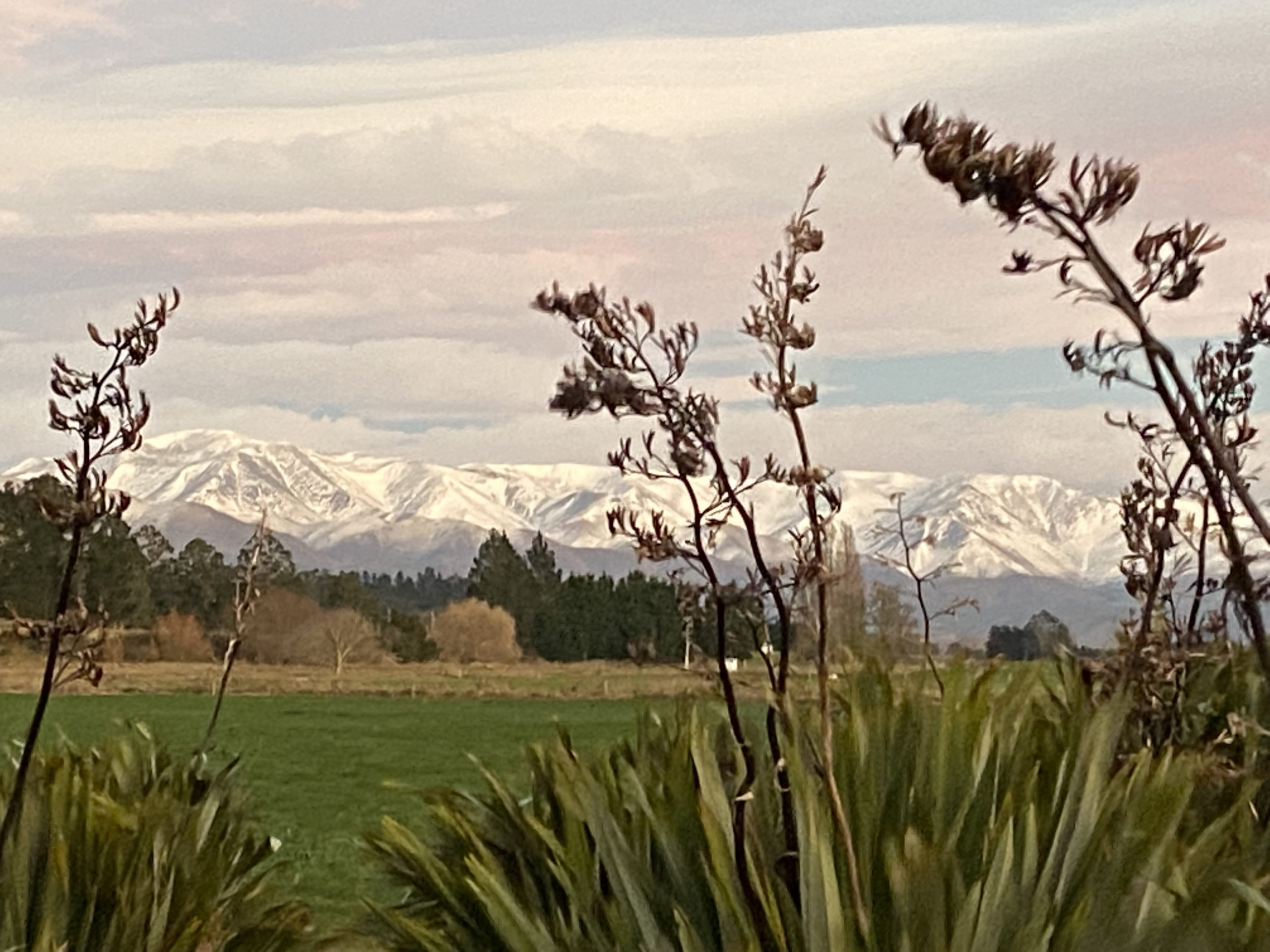 Duntroon Wetlands Duntroon Wetlands